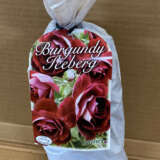 Rose Burgundy Iceberg (Pbr) Rose Burgundy Iceberg (Pbr)