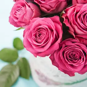 Rose Best Friend (Pbr)