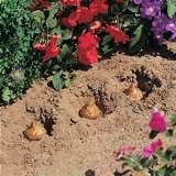 Gardeners Advantage Bulb Planter Gardeners Advantage Bulb Planter