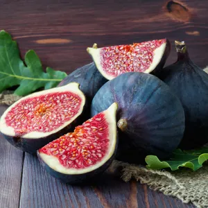 Genoa Black Fig Genoa Black Fig
