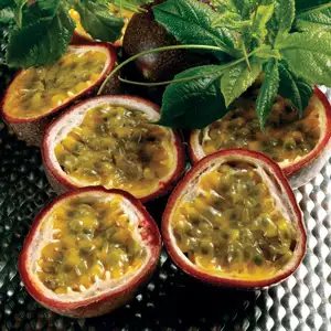 Passionfruit Nellie Kelly Passionfruit Nellie Kelly