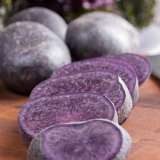 Potato Sapphire - Garden Express Australia