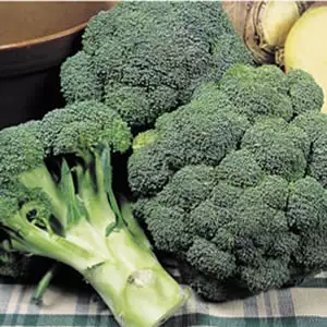 Seed – Broccoli Marathon F1