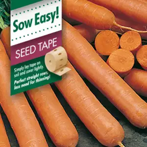 Seed Tape – Carrot Manchester Table Seed Tape – Carrot Manchester Table