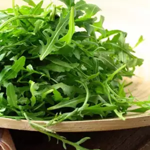 Seed – Rocket Cultivated Organic