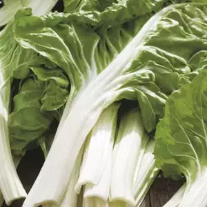 Seed – Silverbeet White Silver Organic Seed – Silverbeet White Silver Organic