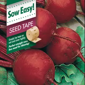 Seed Tape – Beetroot Boltardy Seed Tape – Beetroot Boltardy