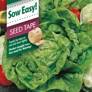 Seed Tape – Lettuce All Year Seed Tape – Lettuce All Year