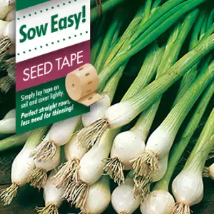 Seed Tape – Spring Onion Seed Tape – Spring Onion