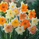 Best Gardening Gifts For Her Best Gardening Gifts For Her