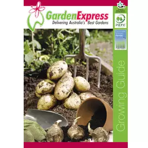 64 Page Garden Express Growing Guide 64 Page Garden Express Growing Guide