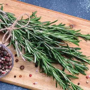 Rosemary Gorza Rosemary Gorza