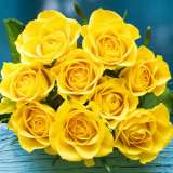 Brindabella Rose Goldie Brindabella Rose Goldie
