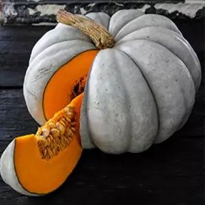 Seed – Pumpkin Jarrahdale