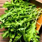 Seed Rocket Salad Seerocket - Garden Express Australia