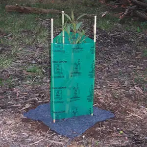 Tree Guard & Stakes