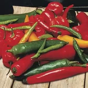 Seed – Chilli Pepper Chilli Shake Seed – Chilli Pepper Chilli Shake