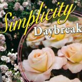 Rose Daybreak Rose Daybreak