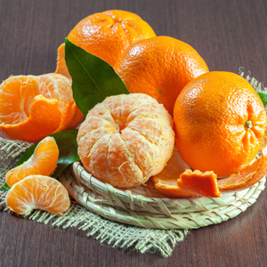 Growing Citrus Trees Growing Citrus Trees