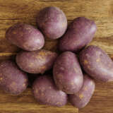 Certified Seed Potato Royal Blue Certified Seed Potato Royal Blue