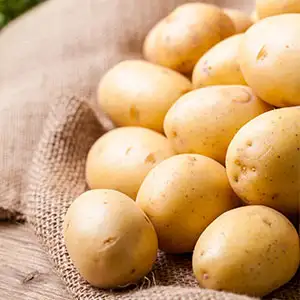Certified Seed Potato Nadine Certified Seed Potato Nadine