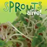 Sprouts Alive Asian Greens Mix Seesalagm - Garden Express Australia