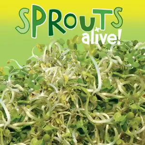 Sprouts Alive Sandwich Sprouts Alive Sandwich