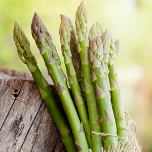 Asparagus Mary Washington