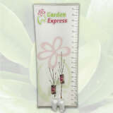 Magnolia Genie (Pbr) Magnolia Genie (Pbr)