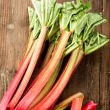 Rhubarb Giant Victoria Pkrhugvi - Garden Express Australia