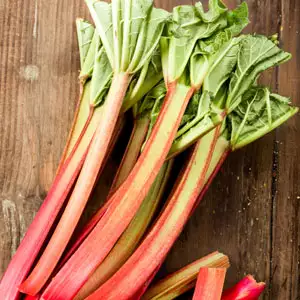 Rhubarb Giant Victoria