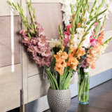 Gladioli Mixed 10pk Gladioli Mixed 10pk
