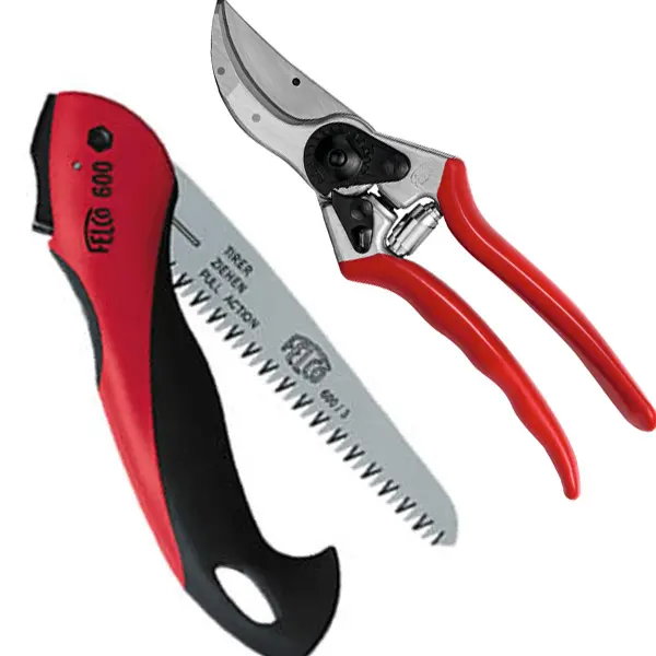 Felco 2 Pruner And 600 Folding Saw Combo Pack- Plus Bonus Felco 2 Pruner And 600 Folding Saw Combo Pack- Plus Bonus