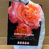Rose Augusta Luise