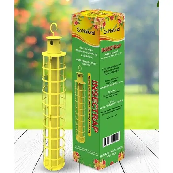 Insectrap Fruit Fly And Gall Wasp Trap Insectrap Fruit Fly And Gall Wasp Trap
