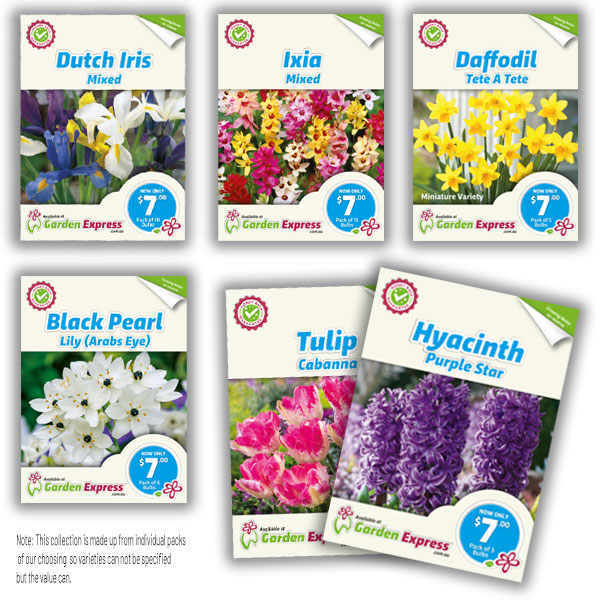 Last Chance 10 Assorted Spring Bulb Packs Last Chance 10 Assorted Spring Bulb Packs
