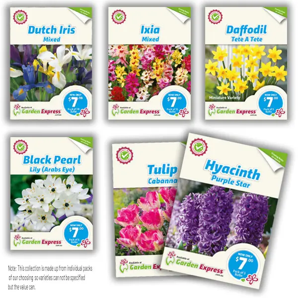Last Chance 10 Assorted Spring Bulb Packs Last Chance 10 Assorted Spring Bulb Packs