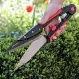 Darlac Expert Topiary Shear Accdarets - Garden Express Australia