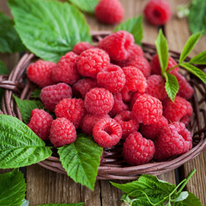 Raspberry Nootka