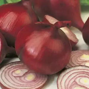 Seed – Onion Early Californian Red Seed – Onion Early Californian Red