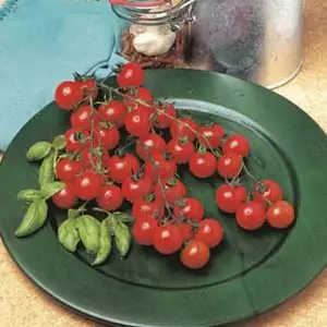 Seed – Tomato Sweet 100 Seed – Tomato Sweet 100