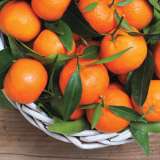 Mandarin Imperial Pplmanimp - Garden Express Australia