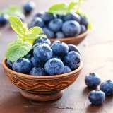 Blueberry Blue Rose Blueberry Blue Rose