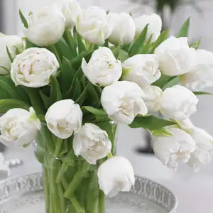 Tulip White Heart Tulip White Heart