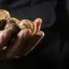 Seed Potato Varieties Webp Net Resizeimage 1 - Garden Express Australia