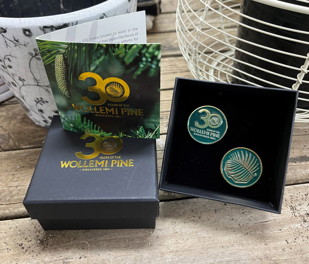 Wollemi Pine Gift Pack 150mm Pot Plus Bonus Wollemi Pine Gift Pack 150mm Pot Plus Bonus