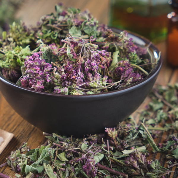 Oregano Oregano
