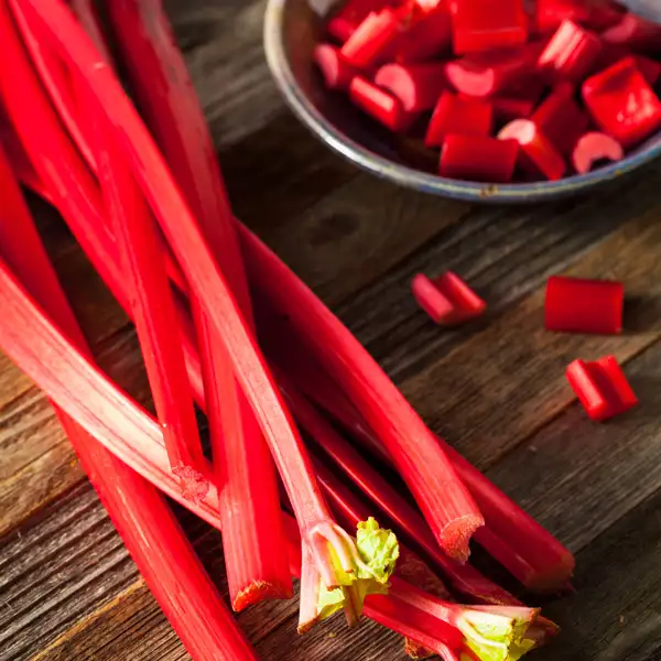 Rhubarb Success Rhubarb Success
