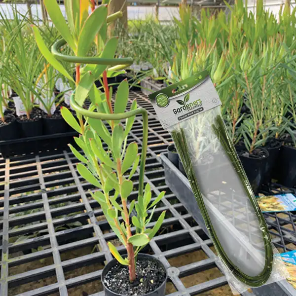 Gardeners Advantage Flexible Bamboo Style Plant Support Gardeners Advantage Flexible Bamboo Style Plant Support