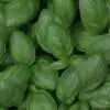 Planting Herbs In Spring Rsz Rob Pumphrey F26vo7cg G Unsplash - Garden Express Australia